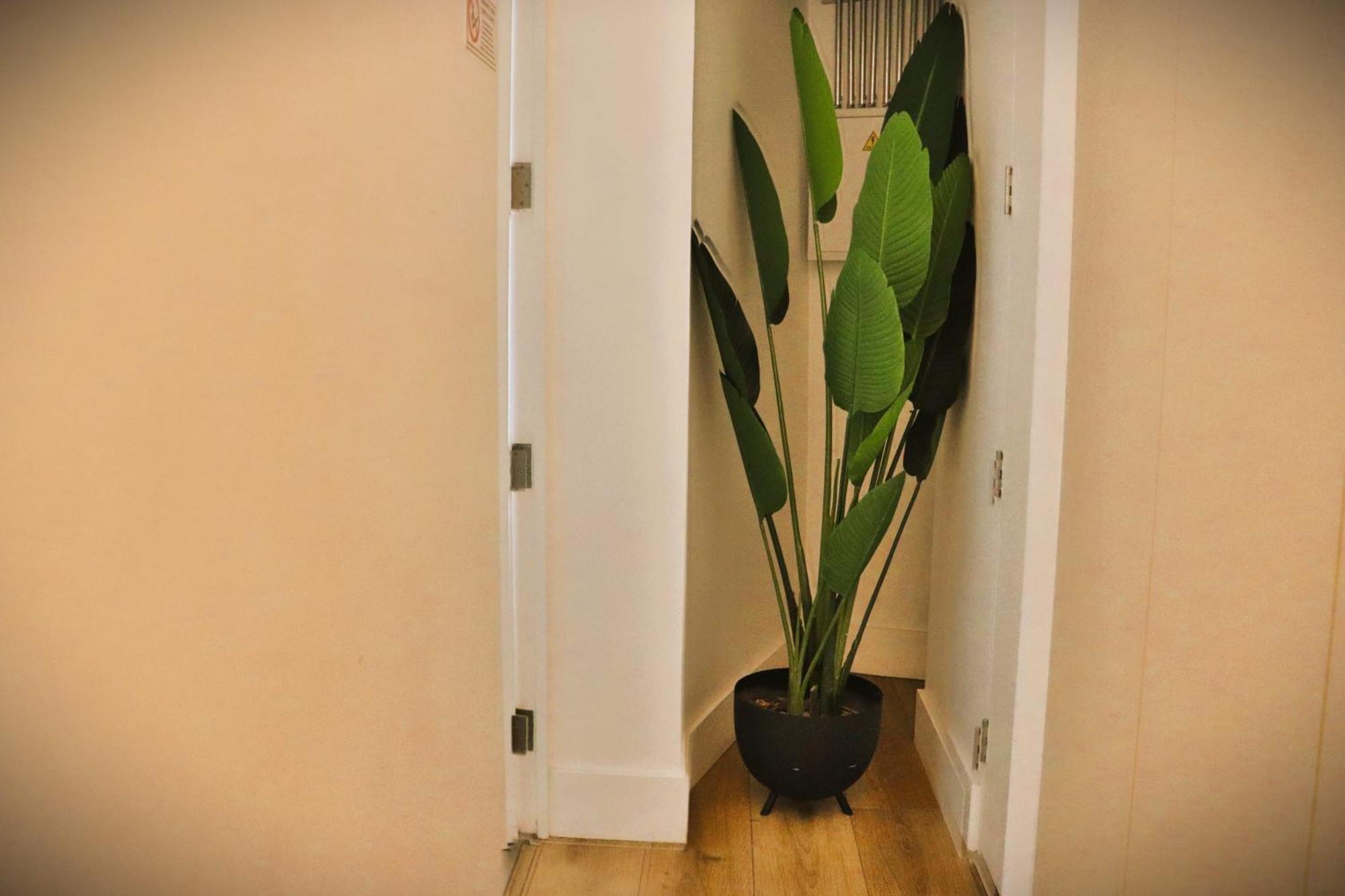 Hom I Comodo Y Luminoso Depto En Centro Apartamento *